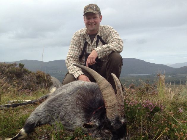 Wild Goat - Ireland