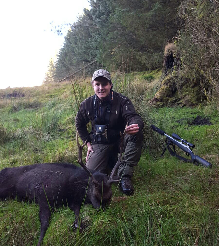 Deer hunting in Scotland - Sika hunting