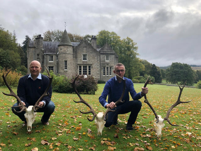 Red Stag Season 2019