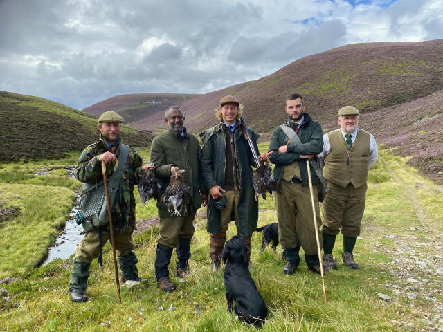 Walked up - Grouse shooting