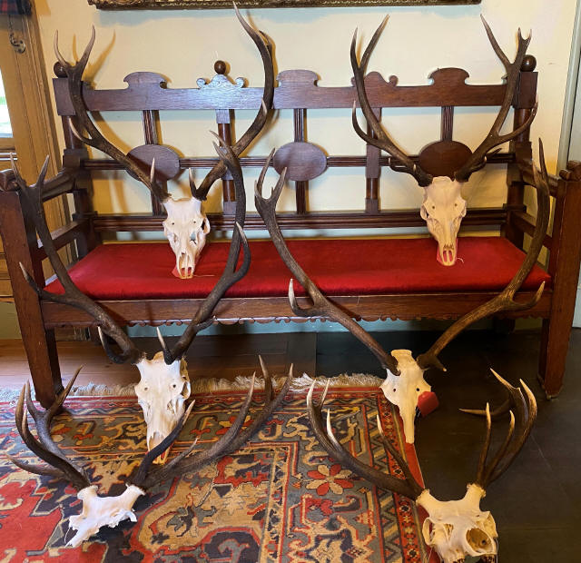 Red Stag Hunting Gallery 2021